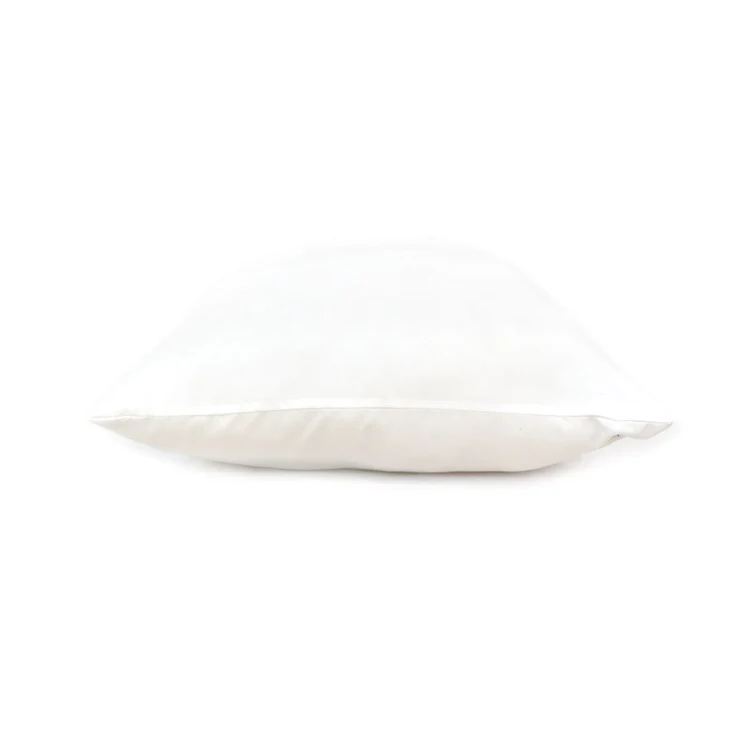 Balance Pillow