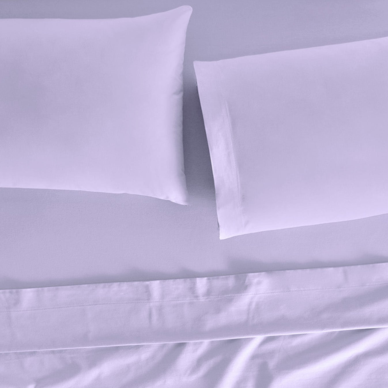 Cabos Lavender Sheets